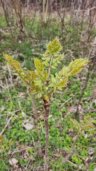김희영님의 자유주제 · 자유게시판 작성글 사진