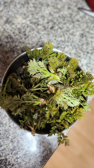 김희영님의 자유주제 · 자유게시판 작성글 사진