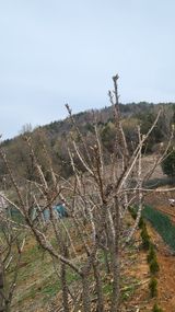 팜모닝 4월 내 작물 자랑하기·참여글 게시글 이미지