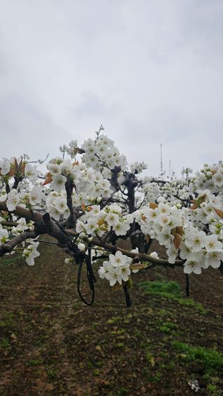 박진오님의 자유주제 · 자유게시판 작성글 사진