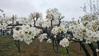 박진오님의 자유주제 · 자유게시판 작성글 사진