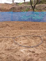 팜모닝 기타작물·영농일지 게시글 이미지