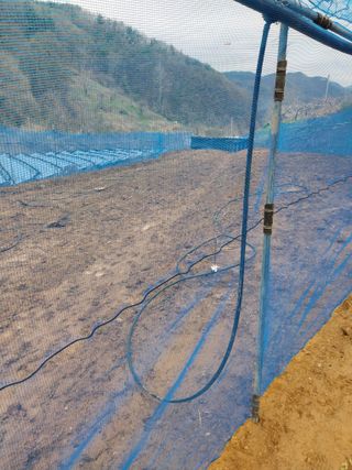 민영님의 기타작물 · 영농일지 작성글 사진