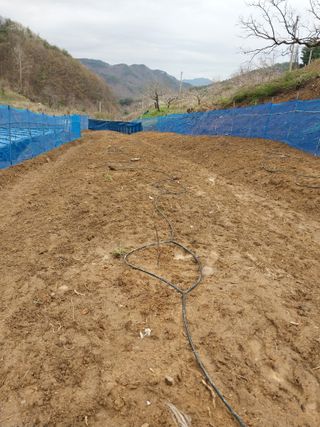 민영님의 기타작물 · 영농일지 작성글 사진