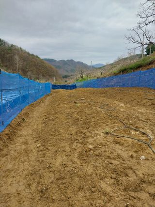 민영님의 기타작물 · 영농일지 작성글 사진