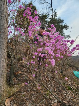 최성분님의 자유주제 · 자유게시판 작성글 사진