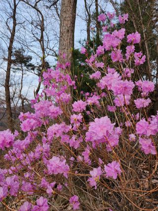 최성분님의 자유주제 · 자유게시판 작성글 사진