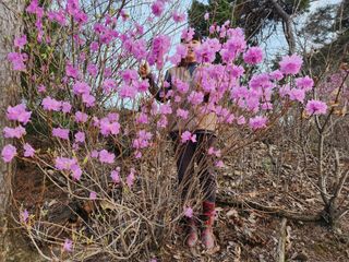 최성분님의 자유주제 · 자유게시판 작성글 사진