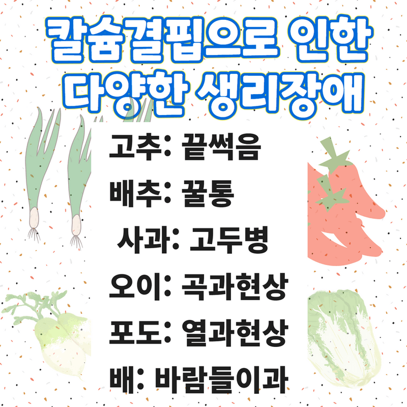 삼익농자재님의 장터 판매 상품 [[야라] 두프로12 복합비료 NPK 김장배추 무 마늘 전작물 강력추천] 첨부 사진