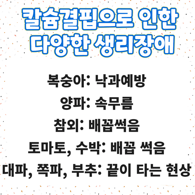 삼익농자재님의 장터 판매 상품 [[야라] 두프로12 복합비료 NPK 김장배추 무 마늘 전작물 강력추천] 첨부 사진