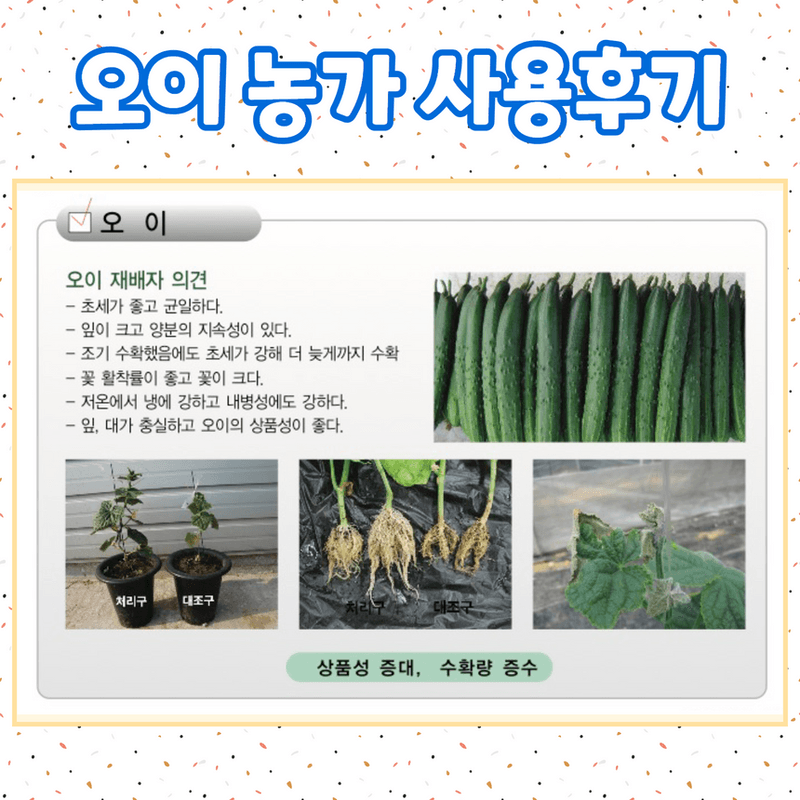 삼익농자재님의 장터 판매 상품 [[야라] 두프로12 복합비료 NPK 김장배추 무 마늘 전작물 강력추천] 첨부 사진