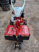 팜모닝 자유주제·사진전 게시글 이미지