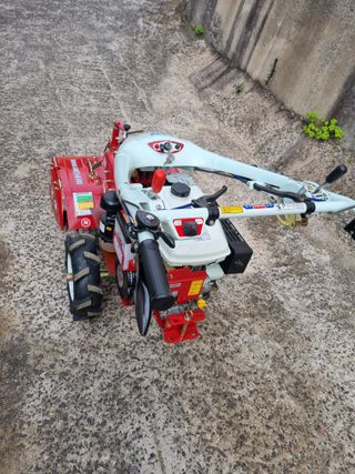 이종규님의 자유주제 · 사진전 작성글 사진