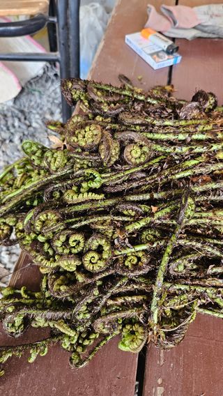 김성진님의 자유주제 · 사진전 작성글 사진