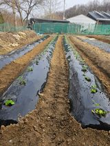 팜모닝 4월 내 작물 자랑하기·참여글 게시글 이미지