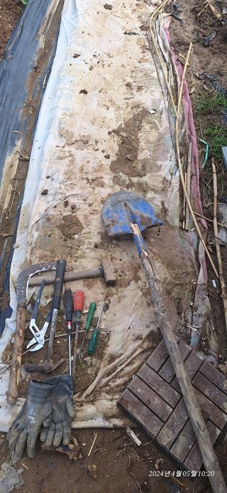 로즈마리님의 옥수수 · 영농일지 작성글 사진