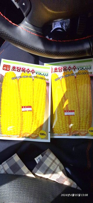 로즈마리님의 옥수수 · 영농일지 작성글 사진