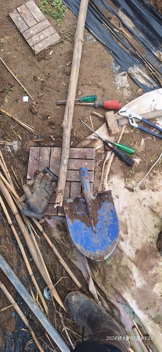 로즈마리님의 옥수수 · 영농일지 작성글 사진