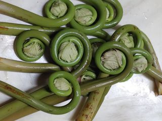 양배추15739님의 자유주제 · 사진전 작성글 사진