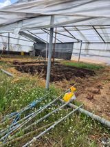 팜모닝 기타작물·영농일지 게시글 이미지