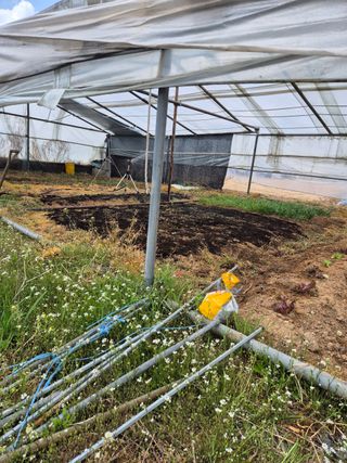 독도농장님의 기타작물 · 영농일지 작성글 사진