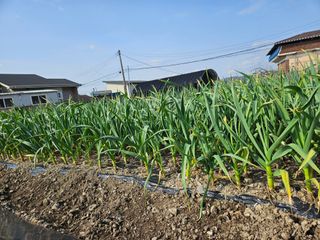 상추10383님의 자유주제 · 자유게시판 작성글 사진