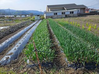 상추10383님의 자유주제 · 자유게시판 작성글 사진