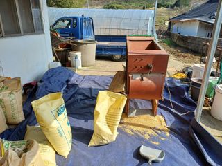 전영일님의 벼 · 영농일지 작성글 사진