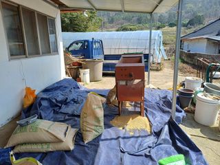 전영일님의 벼 · 영농일지 작성글 사진