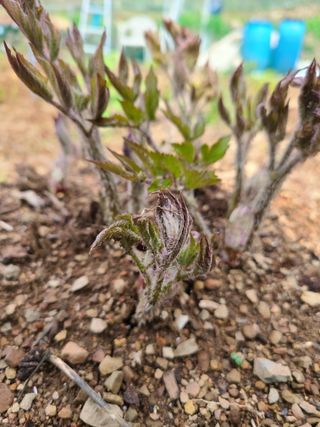 이미영님의 자유주제 · 사진전 작성글 사진