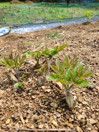 이미영님의 자유주제 · 사진전 작성글 사진