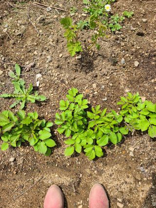 이미영님의 자유주제 · 사진전 작성글 사진