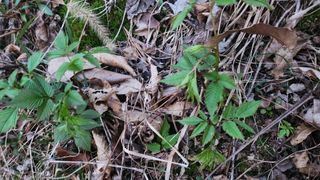 오영선님의 자유주제 · 자유게시판 작성글 사진