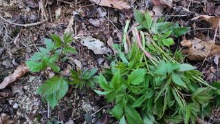 오영선님의 자유주제 · 자유게시판 작성글 사진