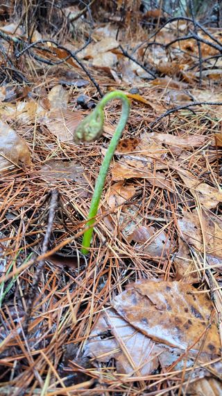 농사꾼 단비님의 자유주제 · 자유게시판 작성글 사진