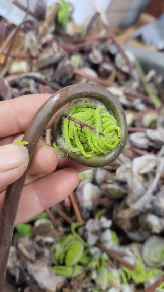 농사꾼 단비님의 자유주제 · 자유게시판 작성글 사진