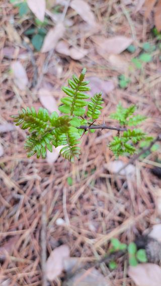 농사꾼 단비님의 자유주제 · 자유게시판 작성글 사진