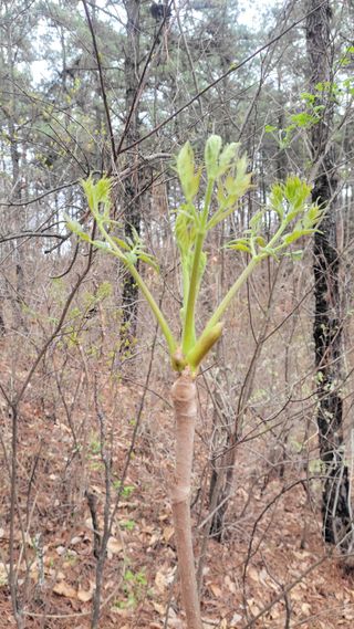 농사꾼 단비님의 자유주제 · 자유게시판 작성글 사진