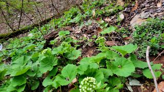 농사꾼 단비님의 자유주제 · 자유게시판 작성글 사진