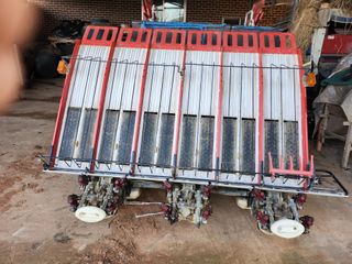 박미란님의 자유주제 · 자유게시판 작성글 사진