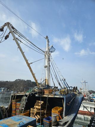 노가네수산님의 자유주제 · 사진전 작성글 사진