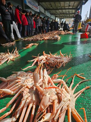 노가네수산님의 자유주제 · 사진전 작성글 사진