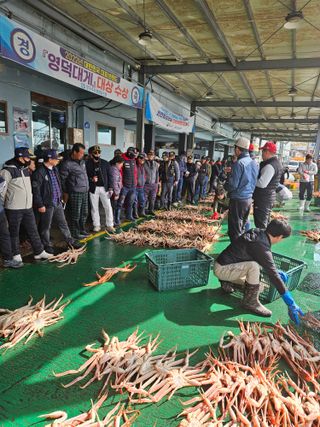 노가네수산님의 자유주제 · 사진전 작성글 사진