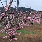 팜모닝 4월 내 작물 자랑하기·참여글 게시글 이미지