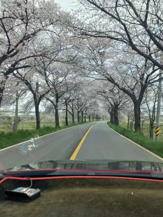 박린님의 자유주제 · 자유게시판 작성글 사진