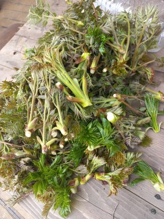 박린님의 자유주제 · 자유게시판 작성글 사진