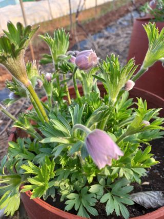 박린님의 자유주제 · 자유게시판 작성글 사진