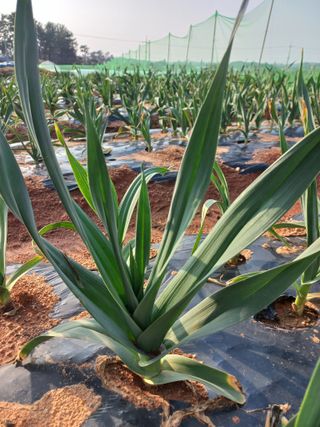 박린님의 자유주제 · 자유게시판 작성글 사진