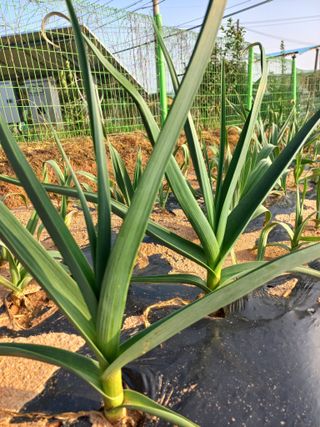 박린님의 자유주제 · 자유게시판 작성글 사진