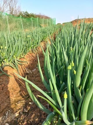 박린님의 자유주제 · 자유게시판 작성글 사진